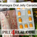 Kamagra Oral Jelly Canada new13